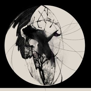 日本舌头添泬视频
